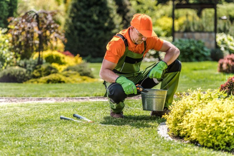 Landscaping Rockhampton | Elite landscaping services